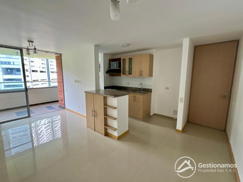 WhatsApp Image 2026-04-22 at 11.11.21 AM (5).jpeg